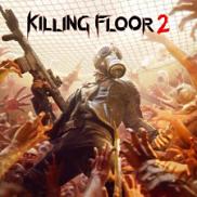 Killing Floor 2 (PSN PS4)