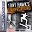 Tony Hawk's Underground 