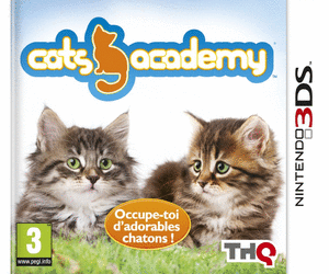 Cats Academy 2