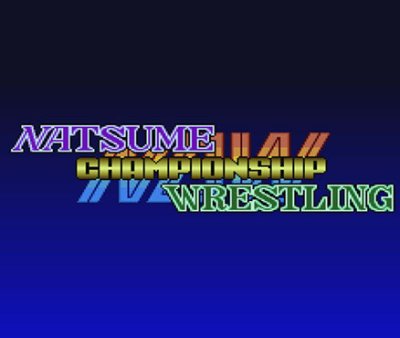 Natsume Championship Wrestling (Wii U)