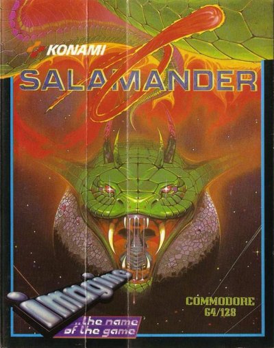 Salamander
