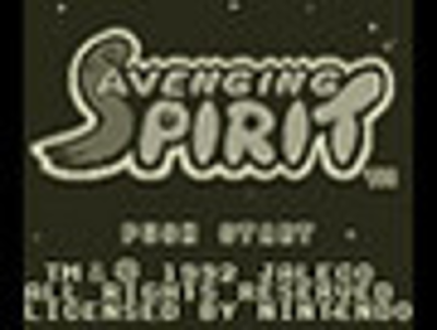 Avenging Spirit