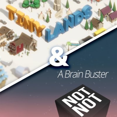 Tiny Lands & Not Not - A Brain Buster