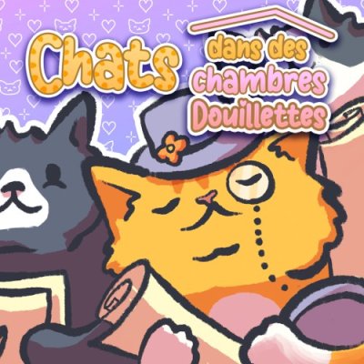 Chats dans des Chambres Douillettes