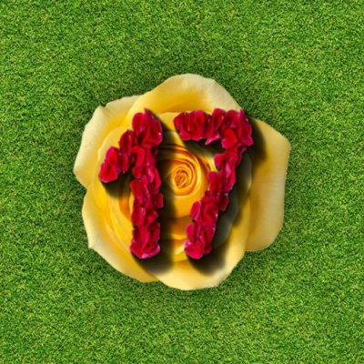 Clutter 17 Flower Power Collector's Edition