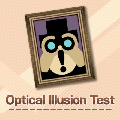 Optical Illusion Test