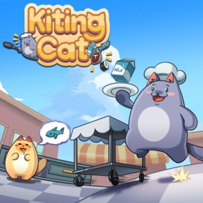 Kiting Cat