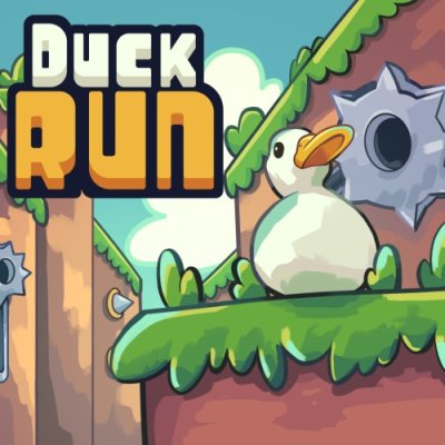Duck Run