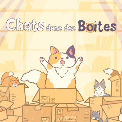 Chats dans des boîtes