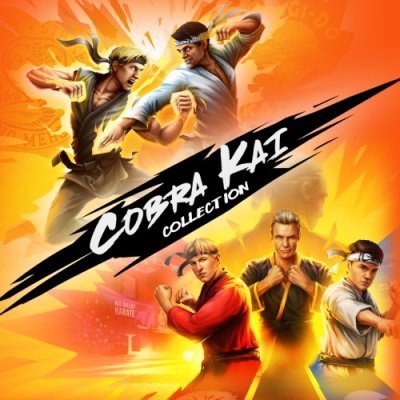 Cobra Kai Collection