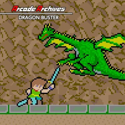 Arcade Archives DRAGON BUSTER