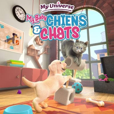 My Baby - Chiens & Chats