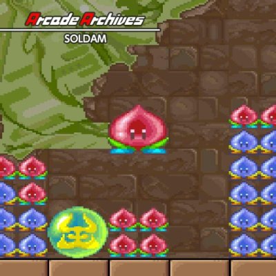 Arcade Archives SOLDAM