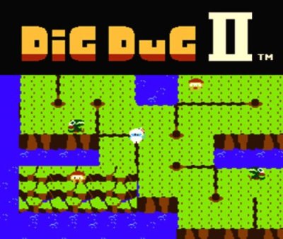 Dig Dug II™