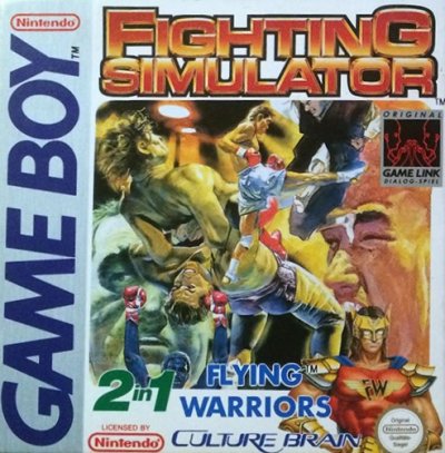 Fighting Simulator 2-in-1 Flying Warriors