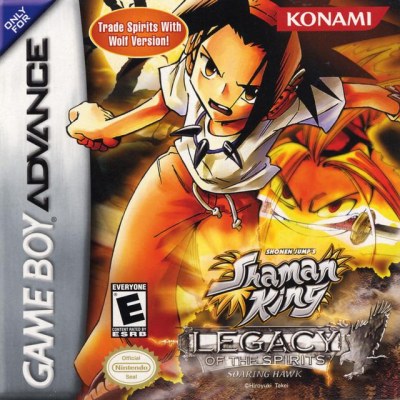 Shonen Jump's Shaman King : Legacy of the Spirits, Soaring Hawk