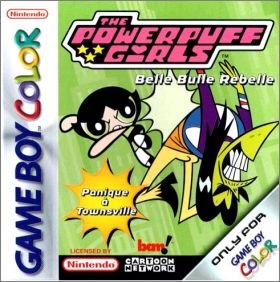 The Powerpuff Girls : Paint the Townsville Green