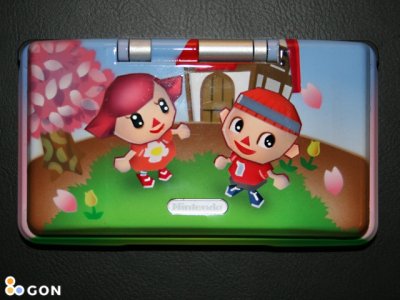 Nintendo DS Animal Crossing Wild World