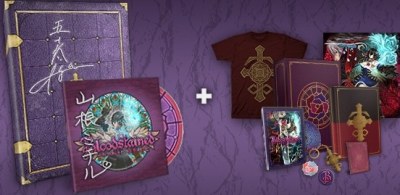 Bloodstained : Ritual of the Night - Signed Collector's Box