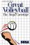 Great Volleyball