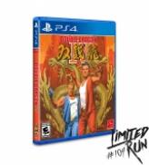 Double Dragon IV - Classic Edition ~ Limited Run #104