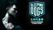 Sleeping Dogs : Cauchemar à North Point (DLC)