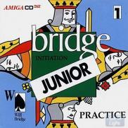 Will Bridge Initiation Junior