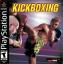 Kickboxing Knockout