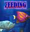 Feeding Frenzy